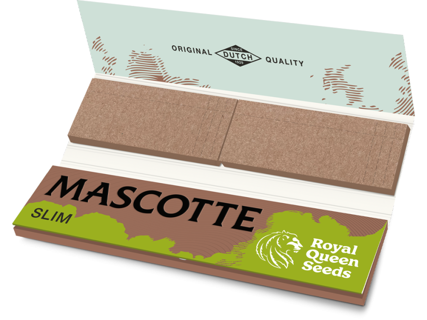 Mascotte x RQS Brown Slim Combi